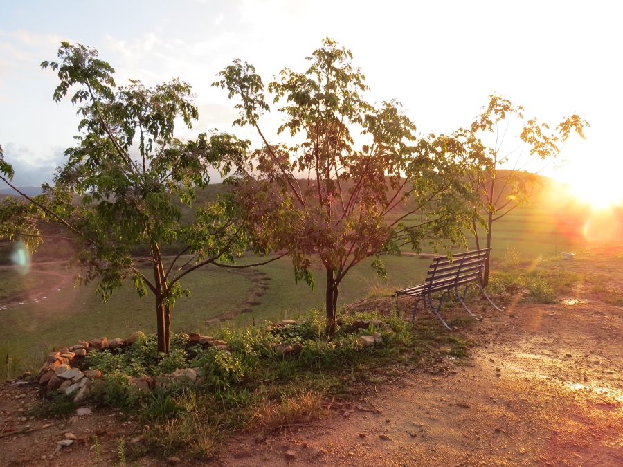 3 Bedroom Property for Sale in Joubertina Eastern Cape